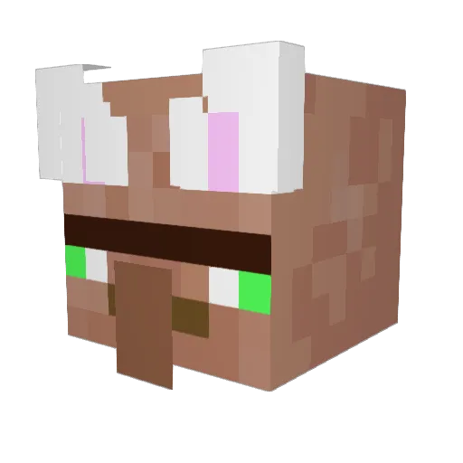 havocmaker2017 Minecraft avatar head, 3D render