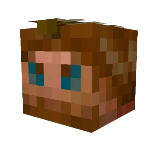 havok87 Minecraft avatar head, 3D render