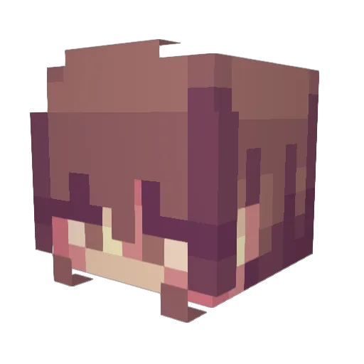 havrinos Minecraft avatar head, 3D render