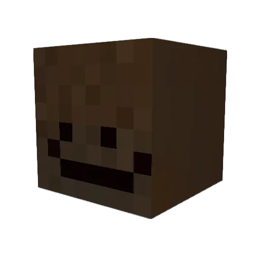 hawaiicat_ Minecraft avatar head, 3D render