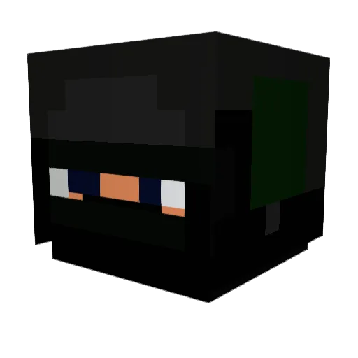 hawick_ Minecraft avatar head, 3D render