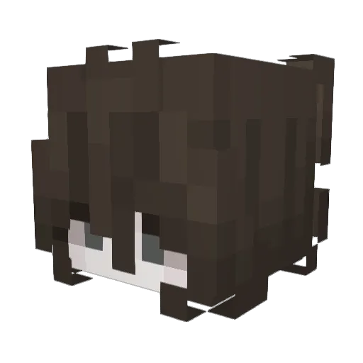 haworti Minecraft avatar head, 3D render