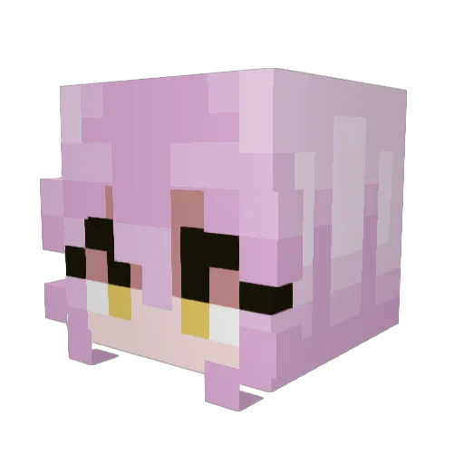 hawruka Minecraft avatar head, 3D render
