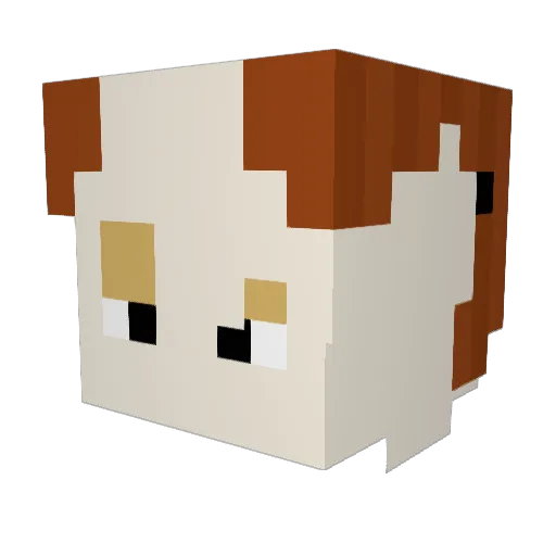 haxeflixel Minecraft avatar head, 3D render