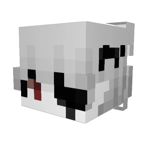haxor1337 Minecraft avatar head, 3D render
