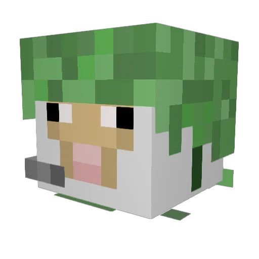hayama1 Minecraft avatar head, 3D render