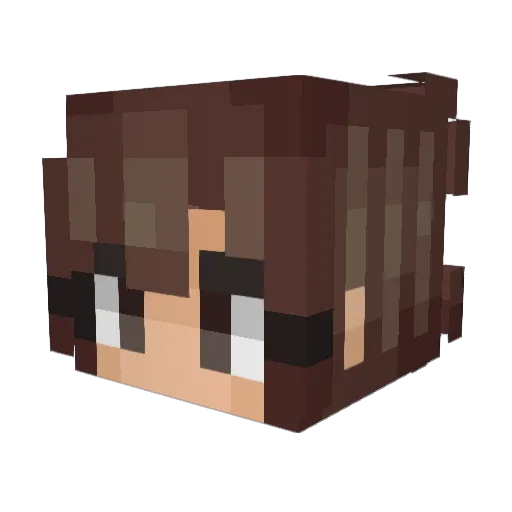 haybag_ Minecraft avatar head, 3D render