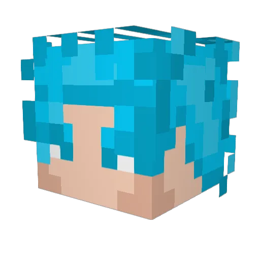 hayce694 Minecraft avatar head, 3D render