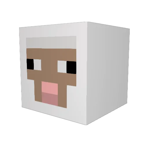 haydeman2233 Minecraft avatar head, 3D render