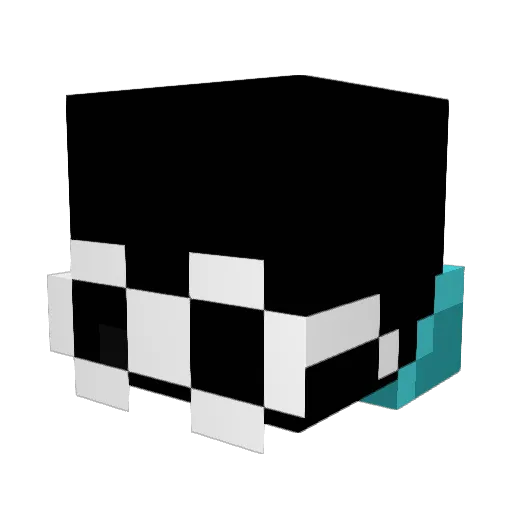 hayden0101 Minecraft avatar head, 3D render