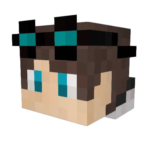 hayden1105 Minecraft avatar head, 3D render