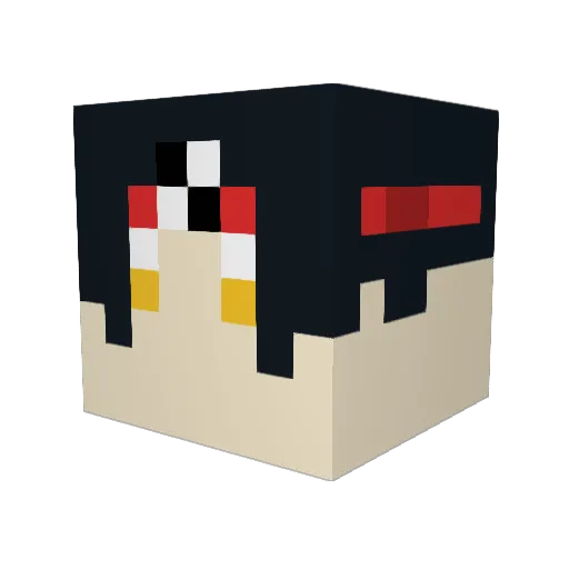 hayden1423 Minecraft avatar head, 3D render