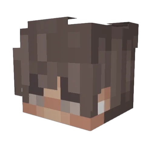 hayden173 Minecraft avatar head, 3D render