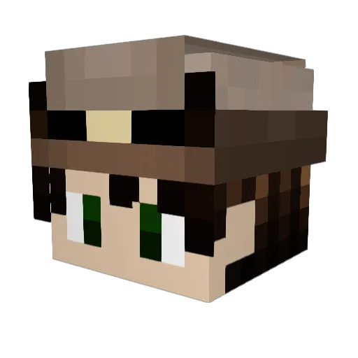 hayden17_ Minecraft avatar head, 3D render