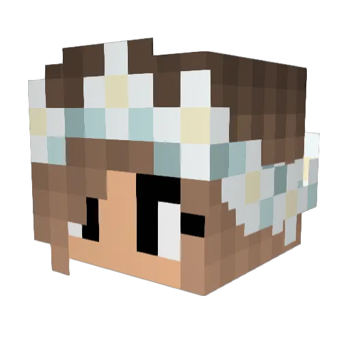 hayden201 Minecraft avatar head, 3D render