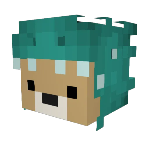 hayden97 Minecraft avatar head, 3D render