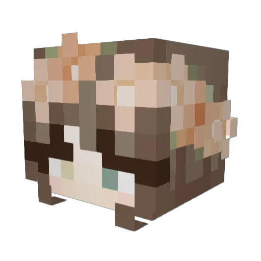 hayden_1115 Minecraft avatar head, 3D render