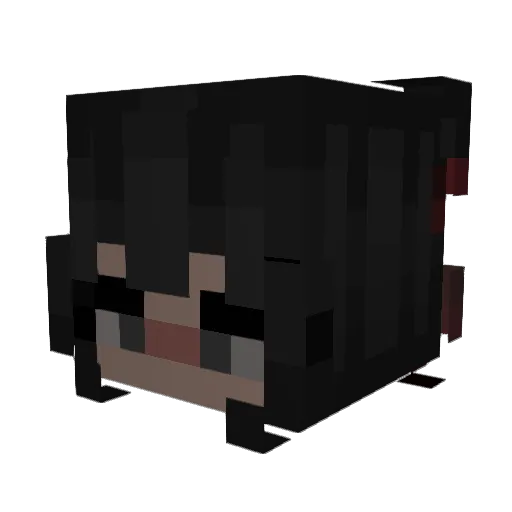 hayden_____ Minecraft avatar head, 3D render