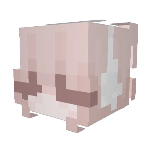 hayden_uwu Minecraft avatar head, 3D render