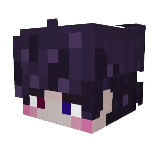 haydencracks Minecraft avatar head, 3D render