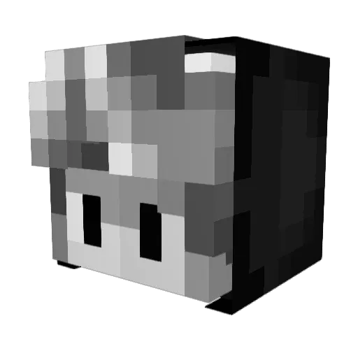 haydenlego2 Minecraft avatar head, 3D render
