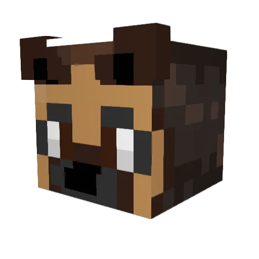 haydenmeh Minecraft avatar head, 3D render