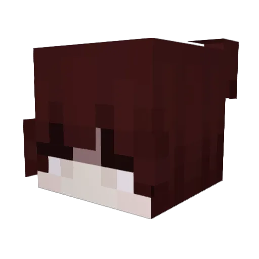 haydenn Minecraft avatar head, 3D render