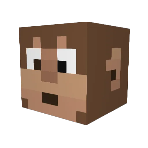 haydenthemonkey Minecraft avatar head, 3D render