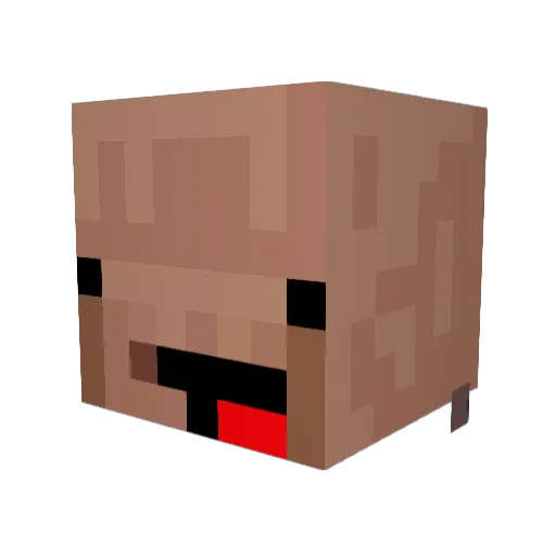 haydom12 Minecraft avatar head, 3D render