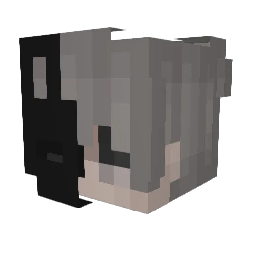 haydone Minecraft avatar head, 3D render