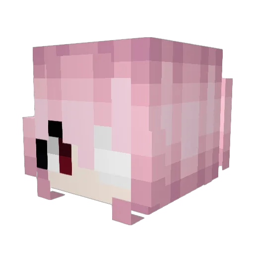 hayele Minecraft avatar head, 3D render