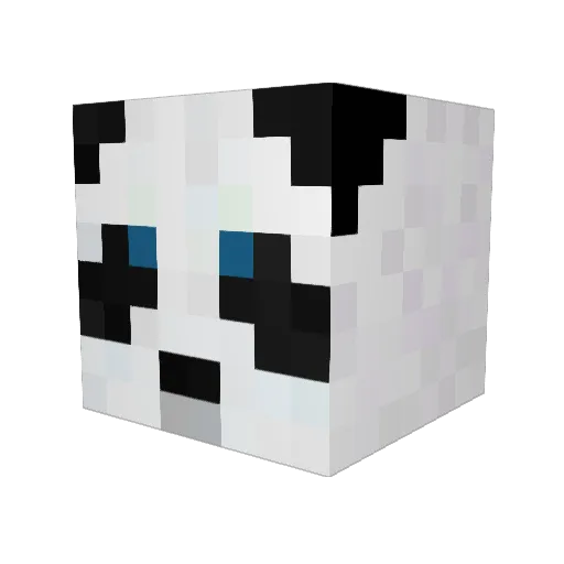 hayesman00 Minecraft avatar head, 3D render