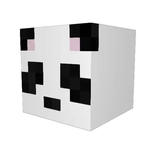 hayhay21 Minecraft avatar head, 3D render