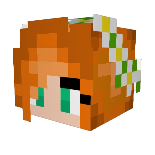 hayhay2525 Minecraft avatar head, 3D render