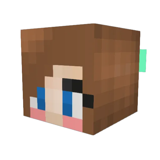hayhay2771 Minecraft avatar head, 3D render