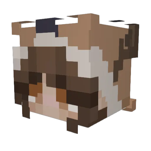haylee715 Minecraft avatar head, 3D render