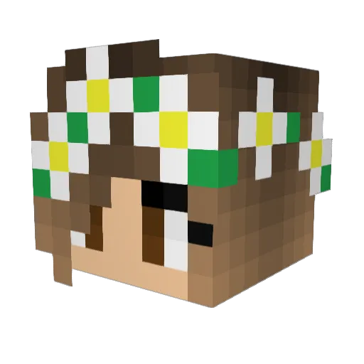 hayleejae Minecraft avatar head, 3D render