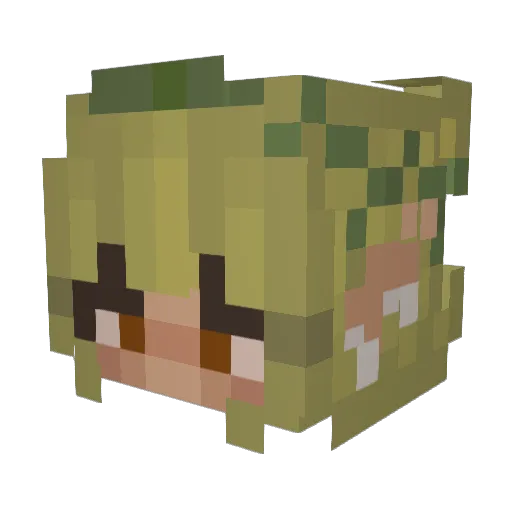 hayley69420 Minecraft avatar head, 3D render