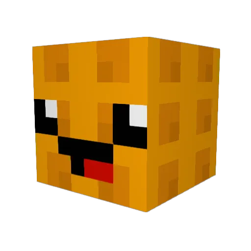 hayleyhh2 Minecraft avatar head, 3D render
