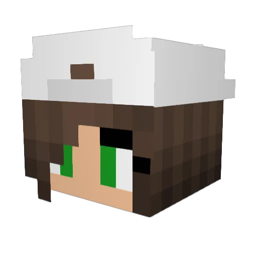 hayliers02 Minecraft avatar head, 3D render