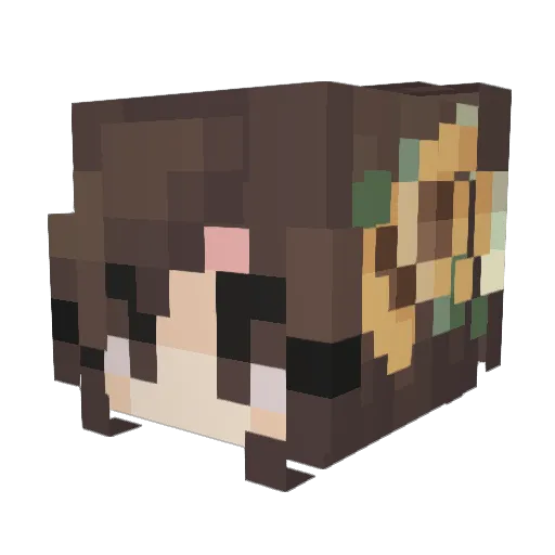 hayloww Minecraft avatar head, 3D render