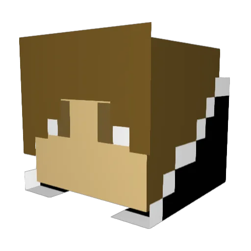 hayoonyboony Minecraft avatar head, 3D render