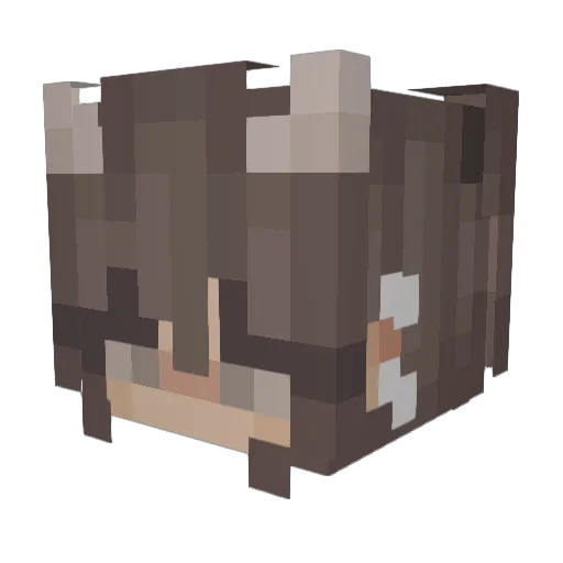 hays6112 Minecraft avatar head, 3D render