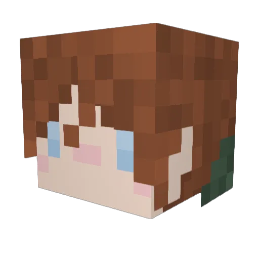 haystack_20 Minecraft avatar head, 3D render
