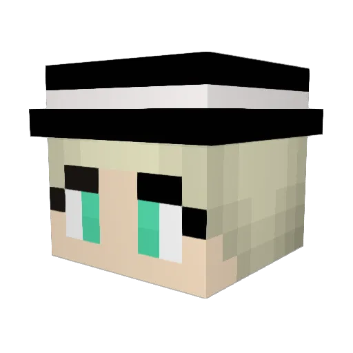 hayum5050 Minecraft avatar head, 3D render