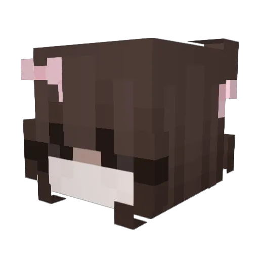 hayylley Minecraft avatar head, 3D render
