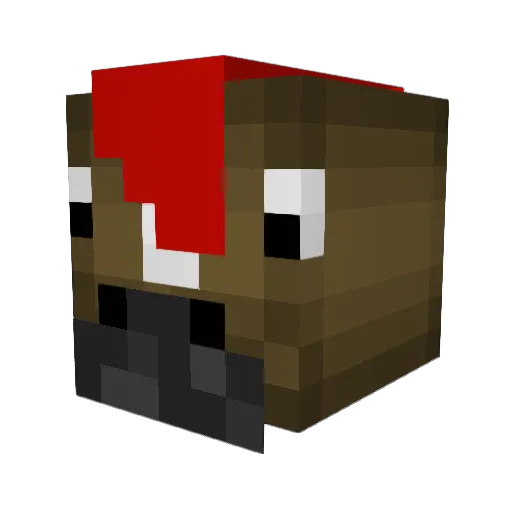 hayzooooooo Minecraft avatar head, 3D render