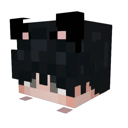 haz_bubby Minecraft avatar head, 3D render