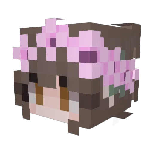 hazelcapybara Minecraft avatar head, 3D render