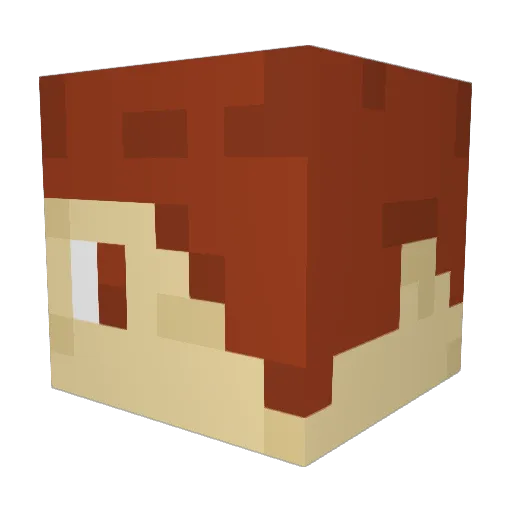 hazmat123113 Minecraft avatar head, 3D render